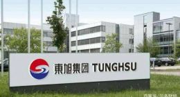 东旭集团暴雷：被法院执行3.5亿、年亏310亿