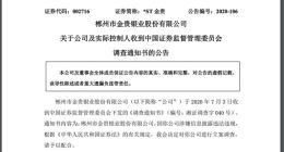 *ST金贵：因涉嫌信息披露违法违规 公司将配合证监会立案调查