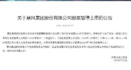 深交所：暴风集团股票7月8日起暂停上市