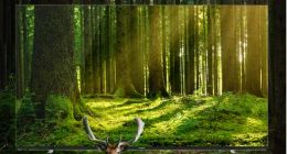 四处碰瓷的创维 已陷入困局？