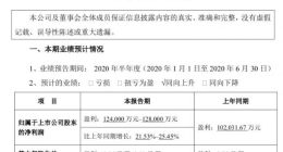 完美世界2020半年业绩预告：净利预增21.53%~25.45%