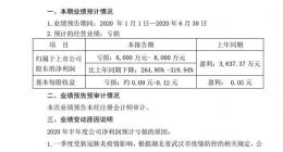 中百集团：预计上半年净亏损6000万元-8000万元