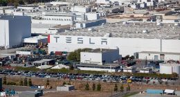 特斯拉加州130名员工染新冠 15%员工直接接触感染者