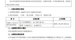 申通快递业绩预告：上半年净利润预计减少89.3%至91.7%