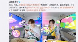 滴滴拼车更名“青菜拼车” 或将独立运营