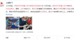 为汪星人上“芯”！深圳犬只未植入芯片将被视为无证养犬