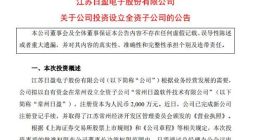 特斯拉供应商日盈电子拟投资2000万元在常州设立全资子公司
