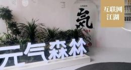 把自己“点燃”的元气森林，还能火多久？