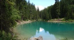 持续亏损的百世，换了个场地继续发力