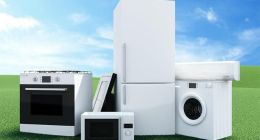 另类网红明星PK：小家电赛道能否诞生下个