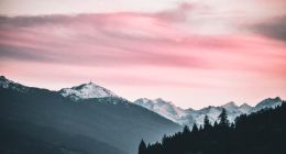 营收一路滑坡，宝宝树用户突围战怎么打