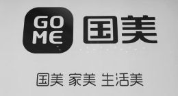 国美零售中期财报