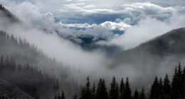 韵达财报：低价抢市场，老二不好当