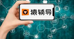 猿辅导想杀个痛快