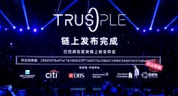 19年前保密项目重启 蚂蚁链再度攻坚信任难题