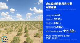 手机“种出”百亿生态财富：上海拿下三个“全国第一”