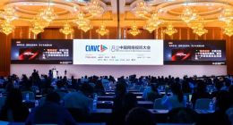 张华立：应对长视频危机的芒果方案