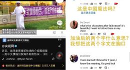 迪拜皇室骆驼为双11加班，在天猫国际备货160万升奶