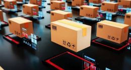 极兔速递：一个被围剿的“外姓人”