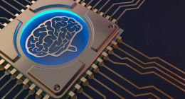 寒武纪告别“寒武纪时代”