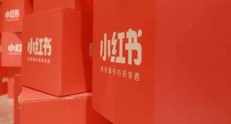 再曝“涉黄” 小红书冤吗？