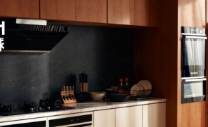 三翼鸟「智慧中国家」飞入寻常百姓家