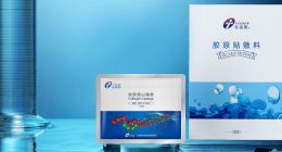 盒马mini带客流，老菜场攒烟火气，新老菜场交融相映成辉