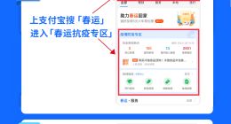 2021春运将至，31省市支持支付宝查询各地返乡政策等信息