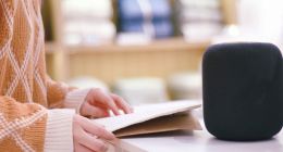 降速的智能音箱，释放了谁的野心？