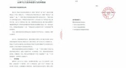 爱库存：社交电商明星背后的资本疑云