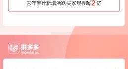 拼多多用户数7.88亿成为中国电商第一