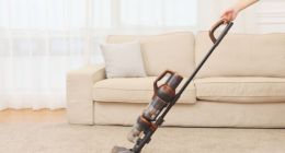 东南亚正在成为中国“AI后花园”？