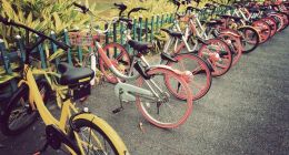 上市：哈啰亏损的解药