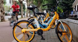 共享单车“2.0时代”：“烧脑”，不烧钱？