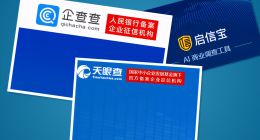 天眼查们逃离工具化内卷