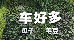 车好多完成3亿美元融资 推动加速汽车交易电商进程