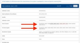 iPhone 13系列7款新机已通过EEC认证：或继续9月亮相