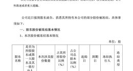 苏宁易购：苏宁电器集团于6月11日被动减持1000万股