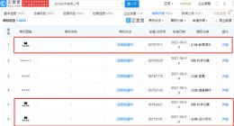 华为申请“华为手译”商标