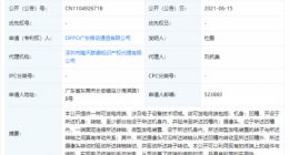 OPPO获手动发电专利授权