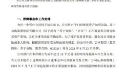 苏宁易购：正在筹划发行股份购买资产事项 明起停牌
