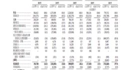 叮当快药赴港上市：2020年营收22.29亿元 净亏损9.2亿元