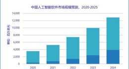 IDC：到2025年 中国AI软件市场公有云服务占比将达36.1%
