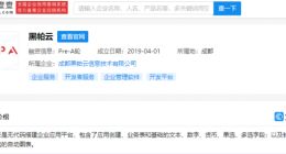 字节跳动投资无代码搭建企业应用平台“黑帕云”，持股14.85%