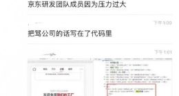 京东辟谣程序员骂人代码：虚假消息，是外部商家自行维护的页面