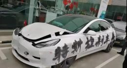 特斯拉中国的一场闭门研讨会，白开了？