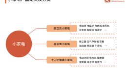 当消费回归理性，小家电行业该如何实现长远发展？