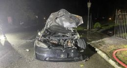 马斯克吹上天的特斯拉新款车发生自燃 车主死里逃生