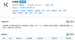 京东投资综合类全网O2O连锁商城“KK集团”，金额3亿美元