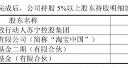 88亿元“纾困”资金来了 苏宁如何踏出下一步？